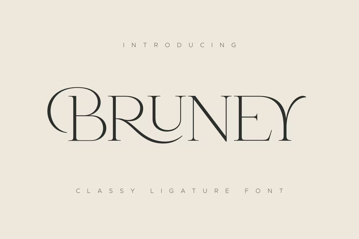 Dangmen - Luxury Ligature Serif