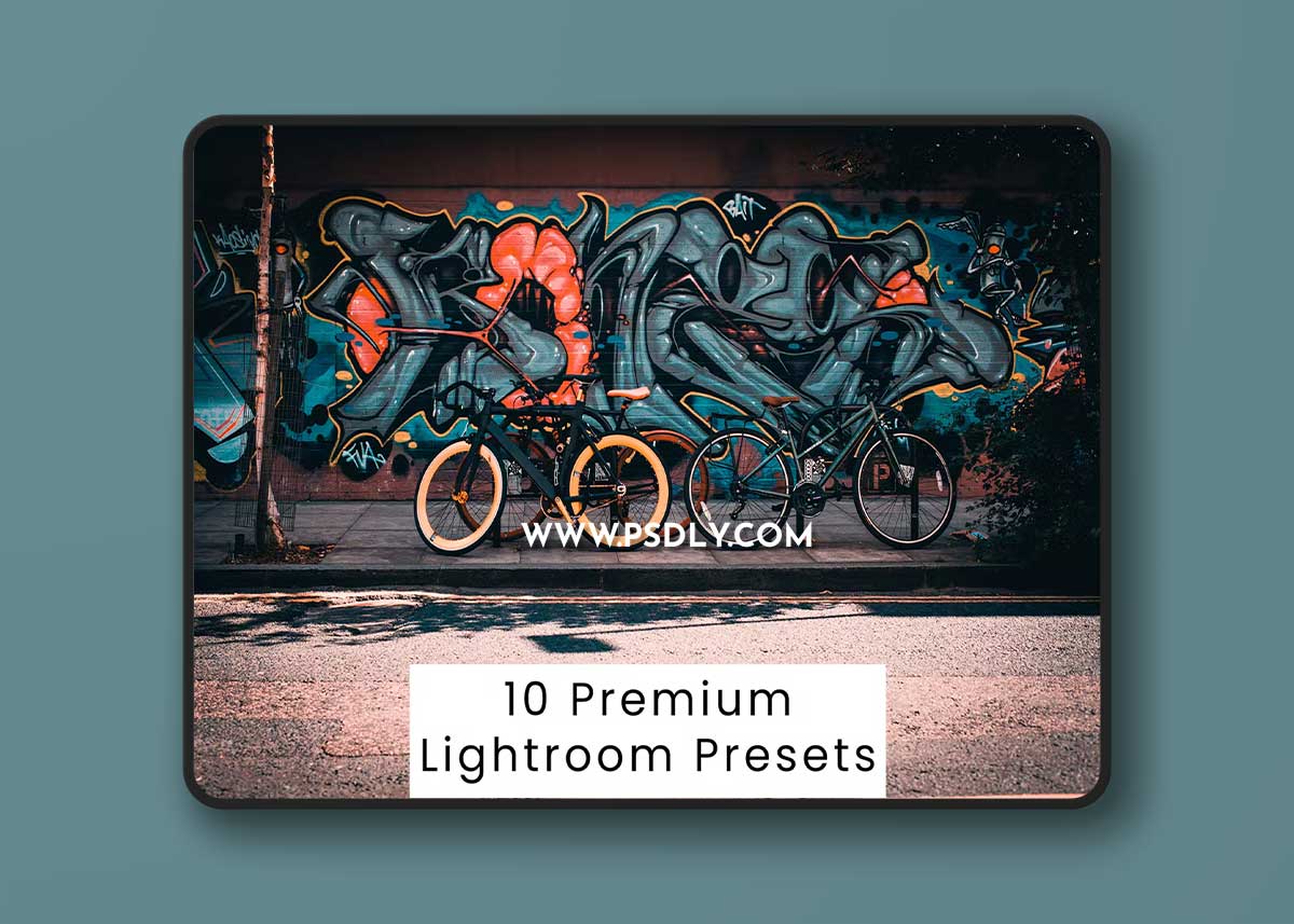 10 Premium Lightroom Presets