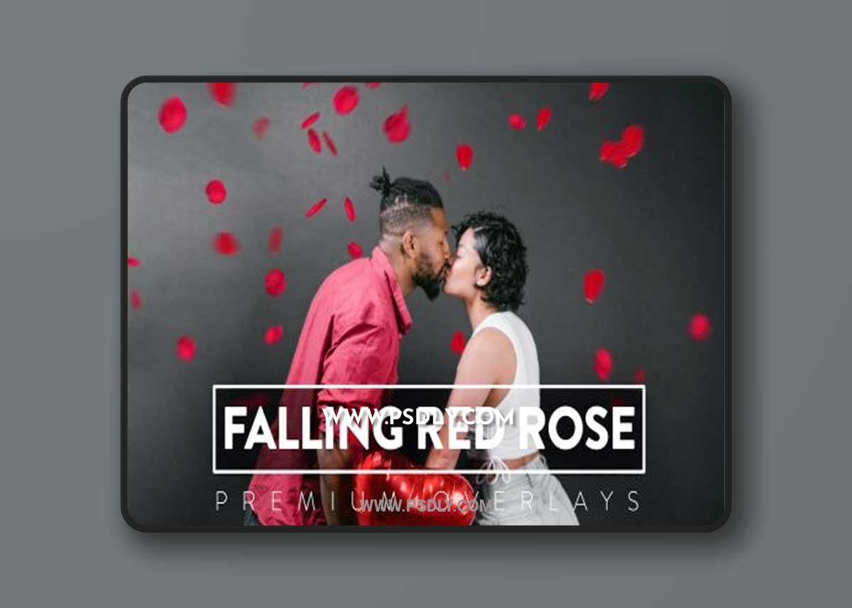 30 Falling Red Rose Overlay