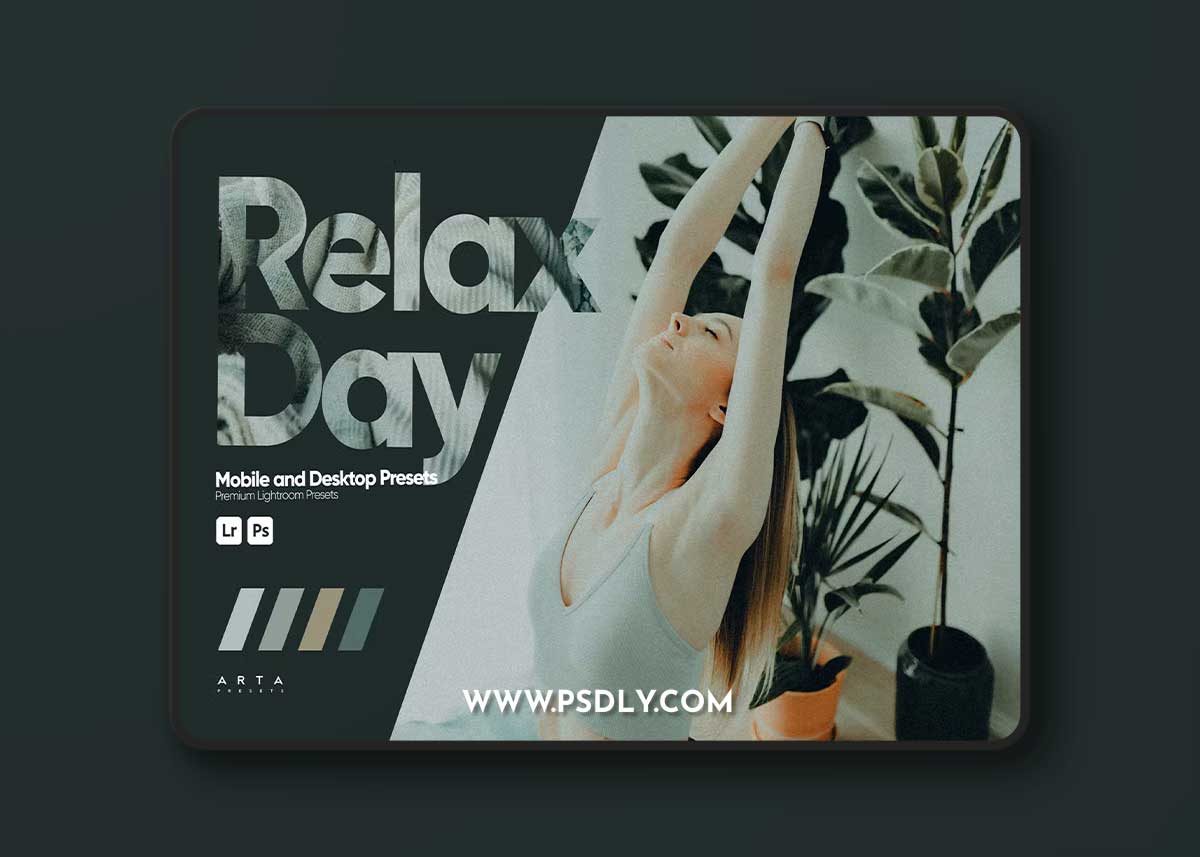 ARTA - Relax Day Presets for Lightroom