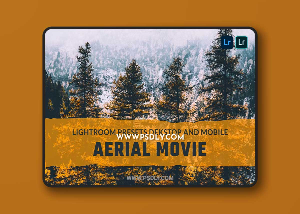 Aerial Movie Lightroom Presets