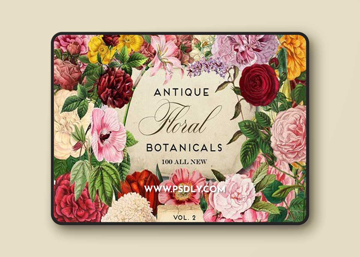 Antique Botanical Floral Graphics 2
