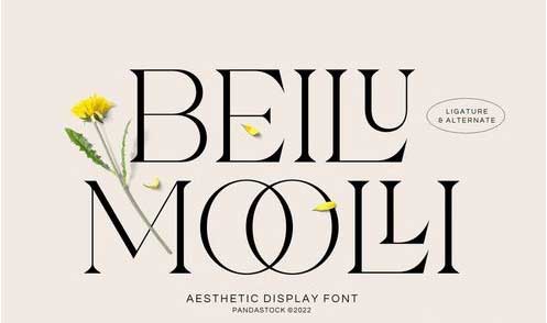 Beilu Mooli - Modern Retro Fonts