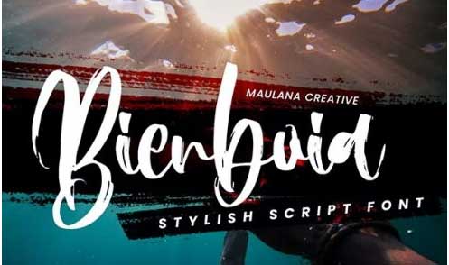Bienboia Script Brush Font