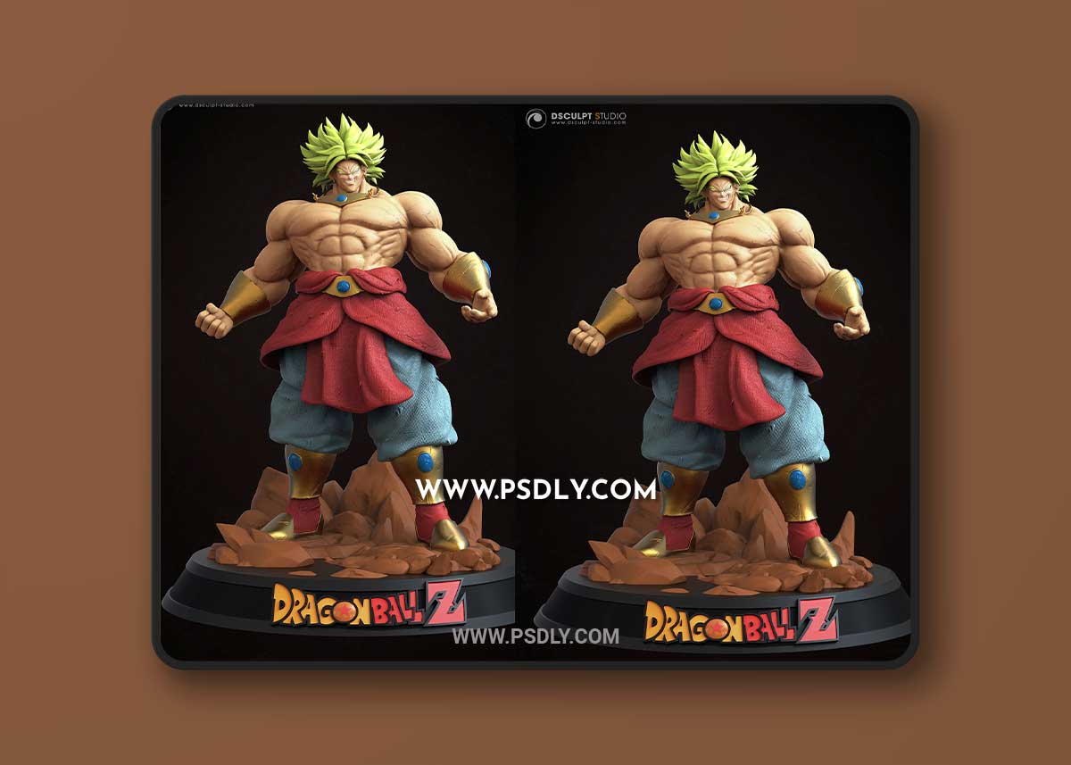 Broly - Dragon Ball Z 3D