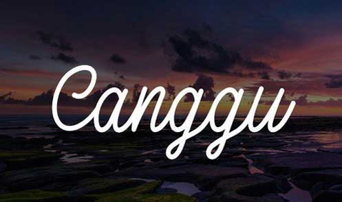 Canggu - Monoline Script Typeface