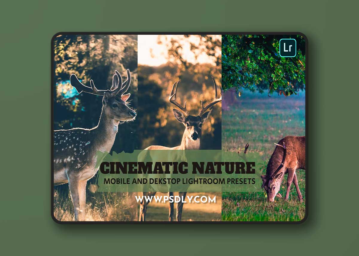 Cinematic Nature Lightroom Presets Dekstop Mobile