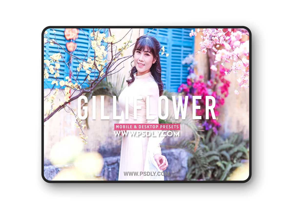 CreativeMarket - Gilliflower Pro Lightroom Presets 7178687