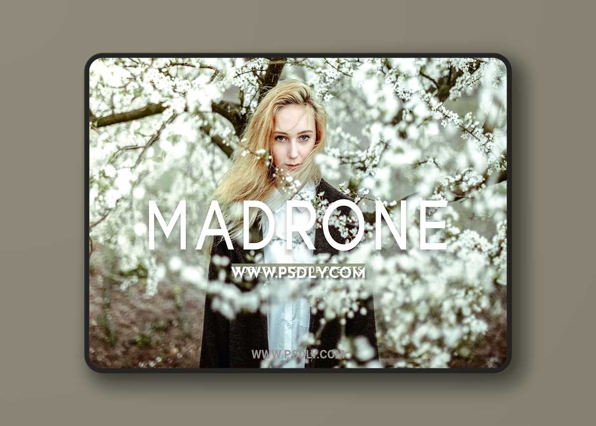 CreativeMarket - Madrone Pro Lightroom Presets 7193788