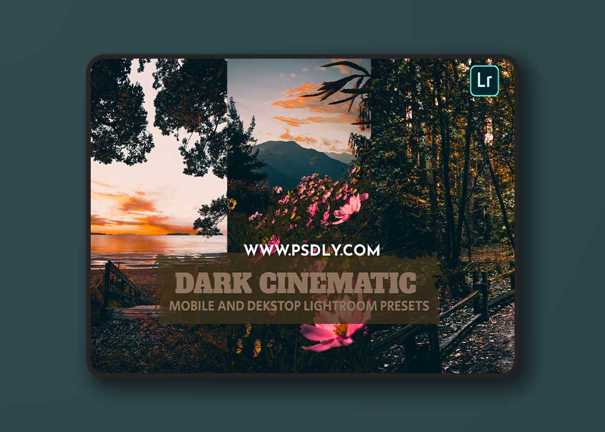 Dark Cinematic Lightroom Presets Dekstop Mobile