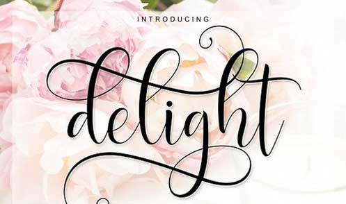 Delight Script Font Duo
