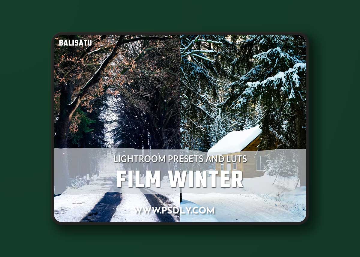 Film Winter LUTs and Lightroom Presets LUYTJU6