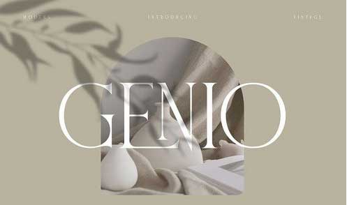 Genio Modern Serif Font