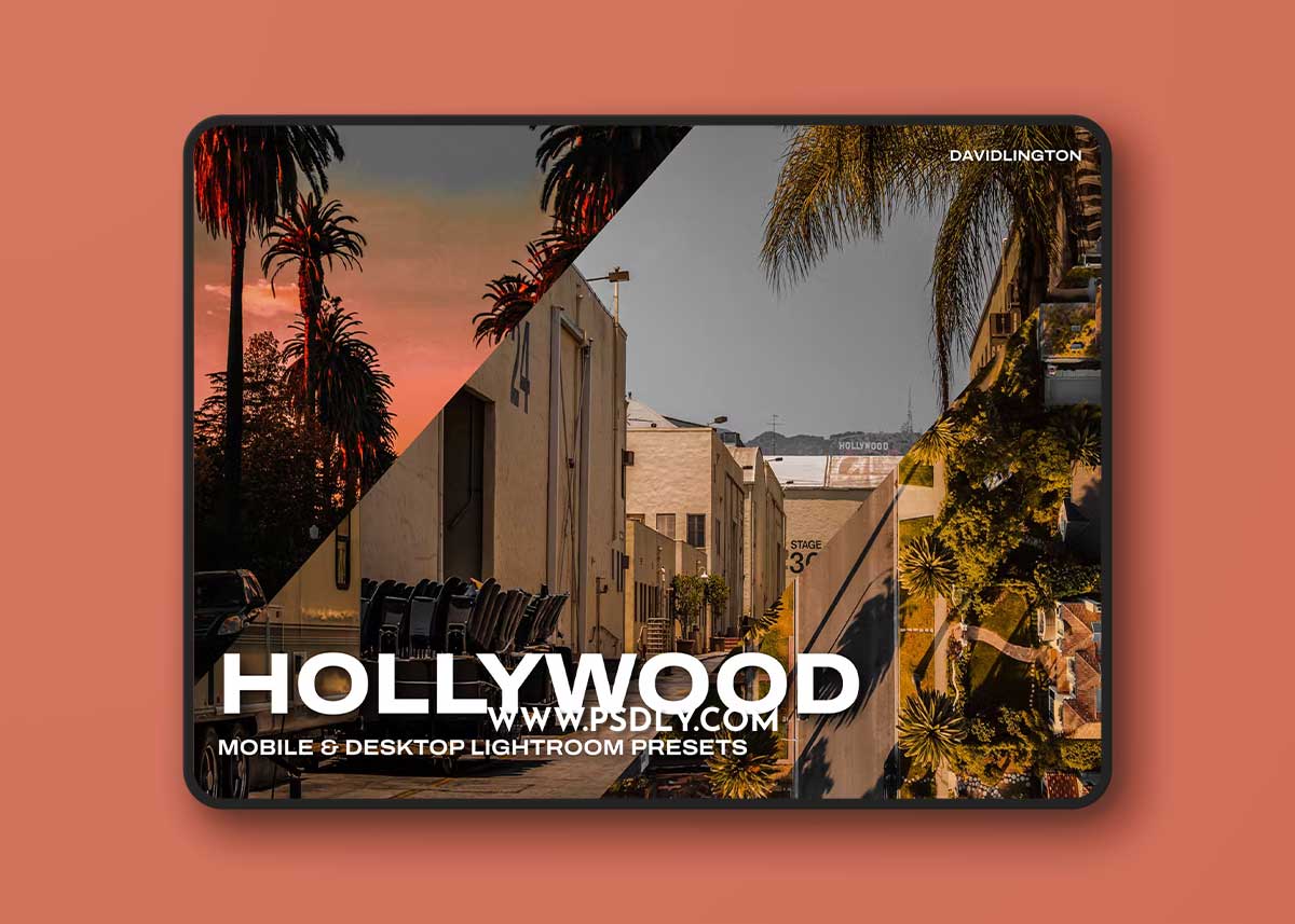 Hollywood Lightroom Presets & LUTs