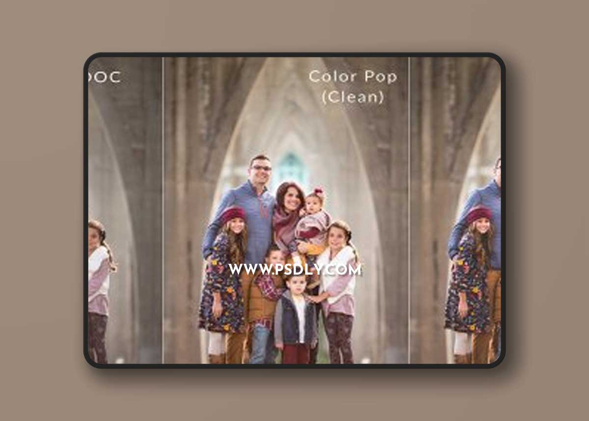 Marissa Gifford - The Streamlined Set