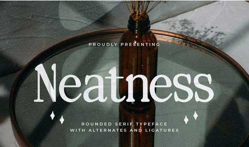 Neatness - Rounded Serif Typeface