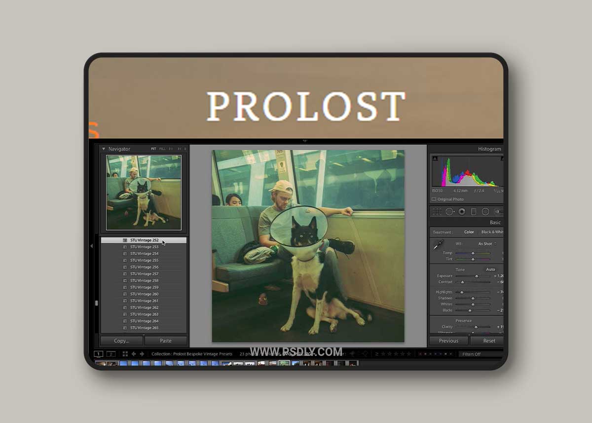 ProLost Vintage Preset