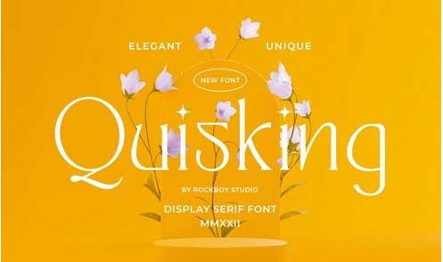 Quisking - Display Serif Fontd