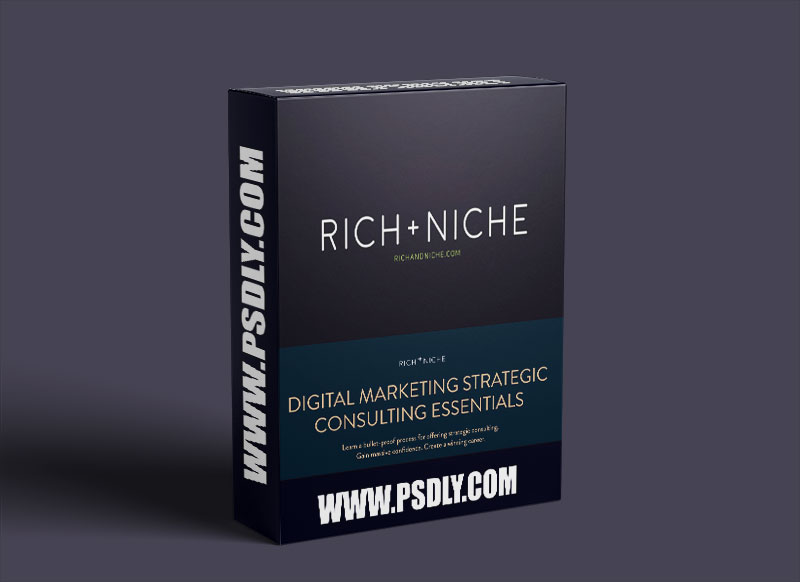 Rich+Niche – Brand Builder & DM Consulting Training