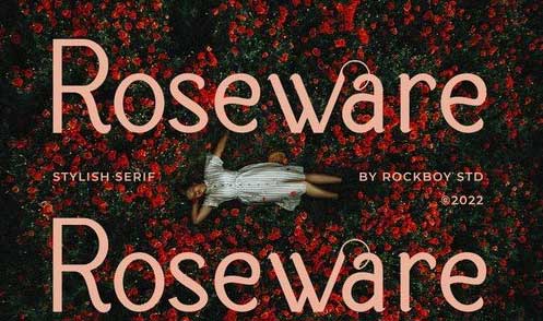 Roseware - Modern Stylish