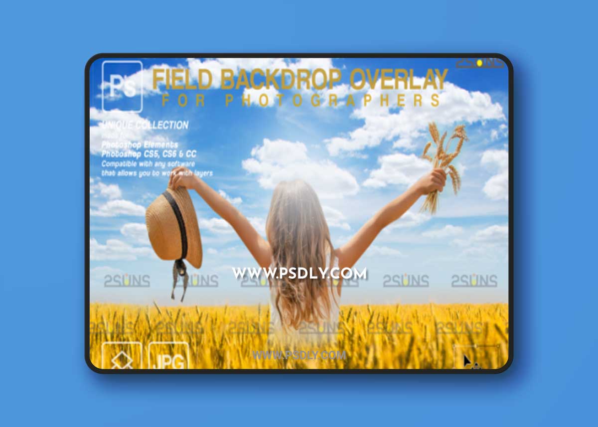 Ukraine Field Background Photoshop