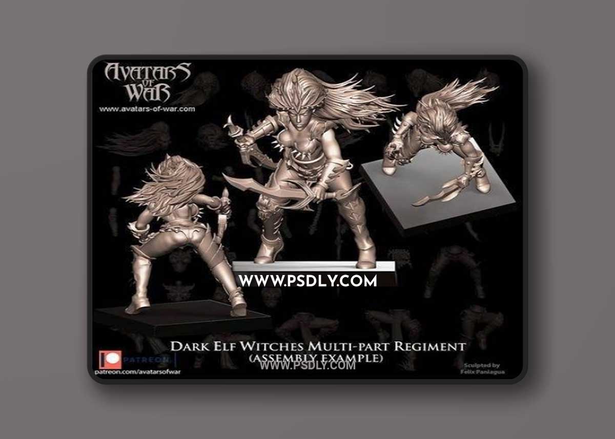 3D STL Avatars of War - Dark Elf Witches