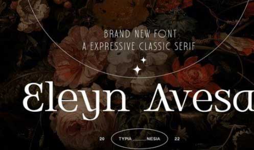 Eleyn Avesa - Classic Elegant Display Serif
