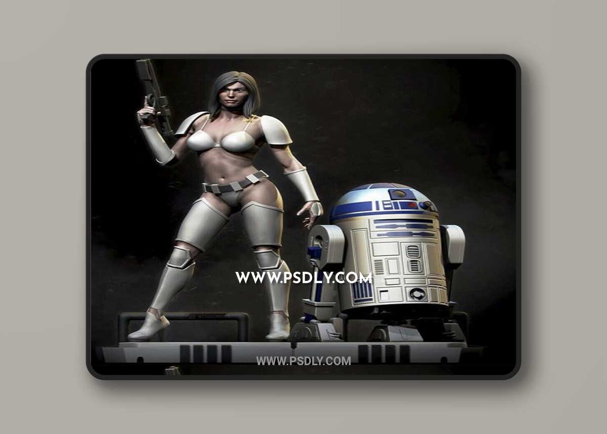 Female Stormtrooper and R2D2 3D Model