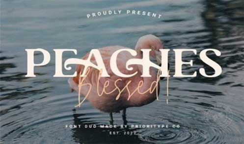FontBundles - Peaches Blessed - Font Duo 1983486