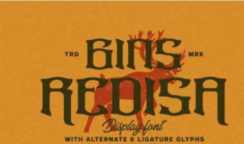 Gins Redisa Font