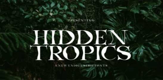 Hidden Tropics Font