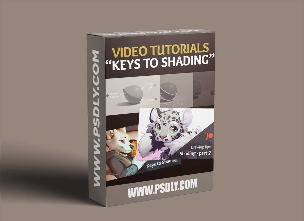 Ko-fi - Nordeva - Keys to Shading Video tutorials