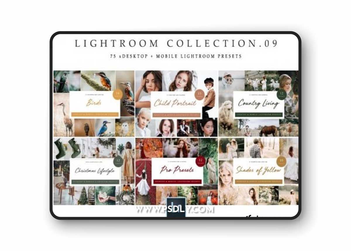 Lightroom Collection vol.9