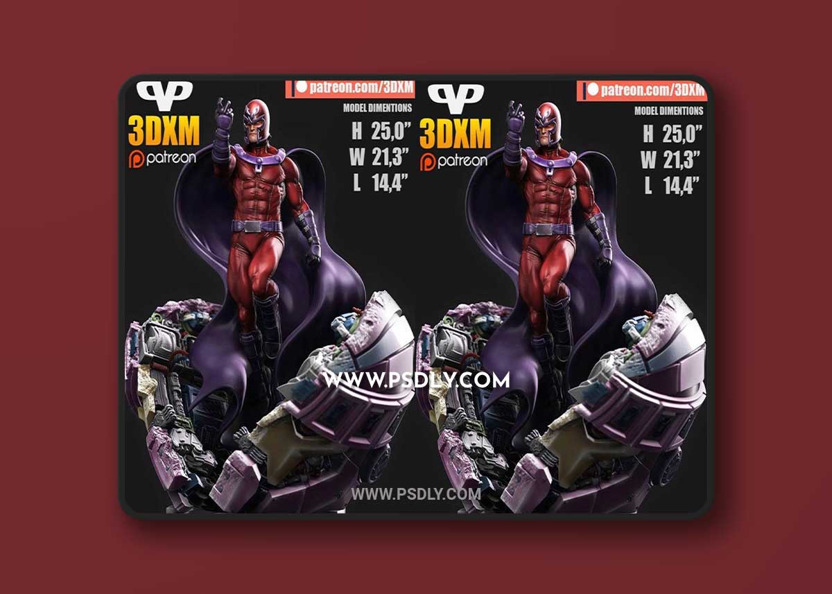 Magneto Extra Stuff 3D Model