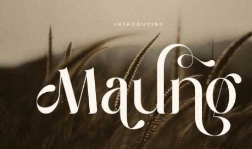 Maung - Elegant Classy Serif Font