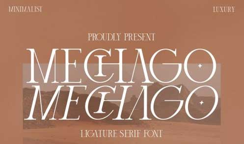 Mechago Stylish Serif Font
