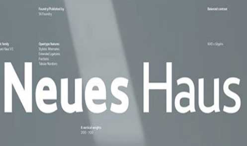 Neues Haus Font Family