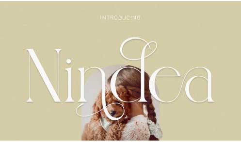 Nindea Modern Ligature Serif