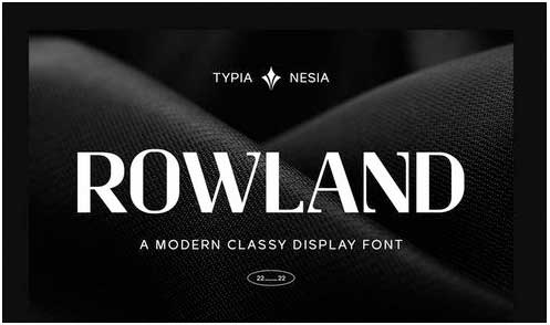 Rowland - Modern Masculine Classy Sans Serif