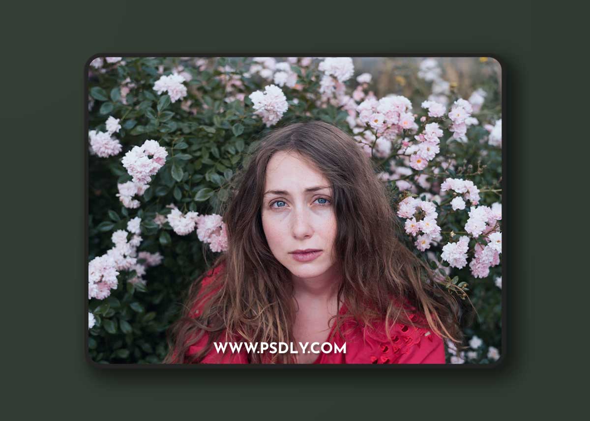 The Classic Presets - Classic CineStock Profiles for Lightroom