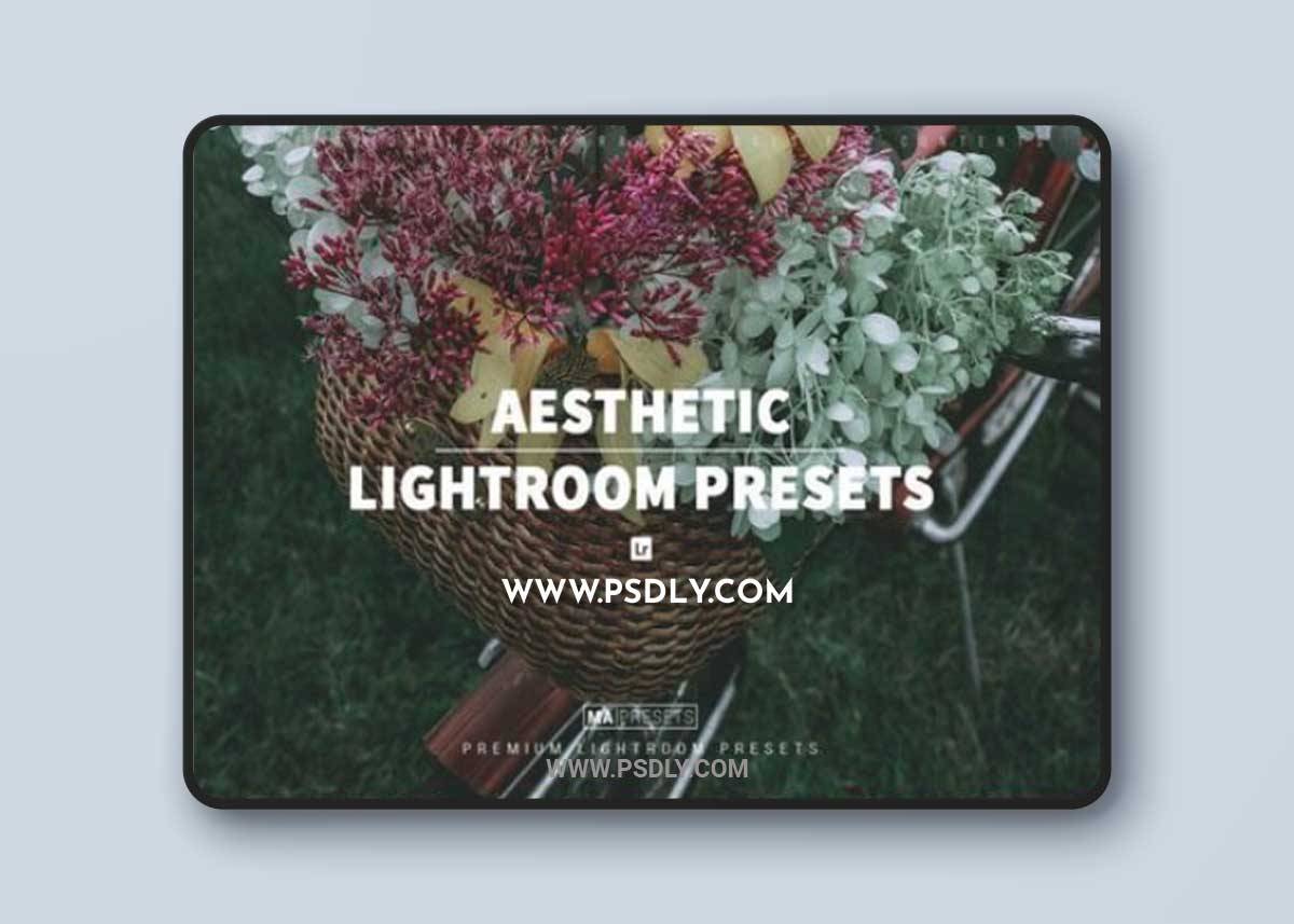 10 AESTHETIC FILM Lightroom Presets