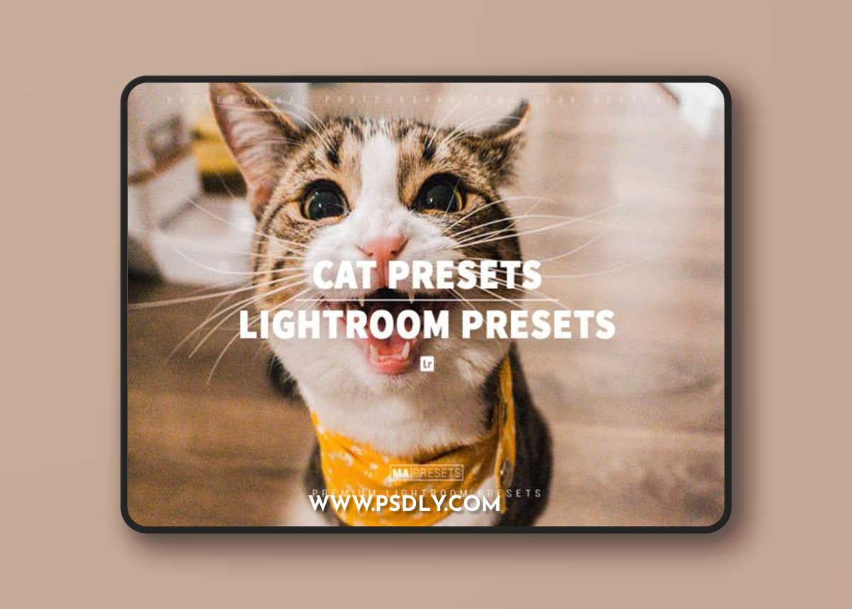 10 CAT Lightroom Presets