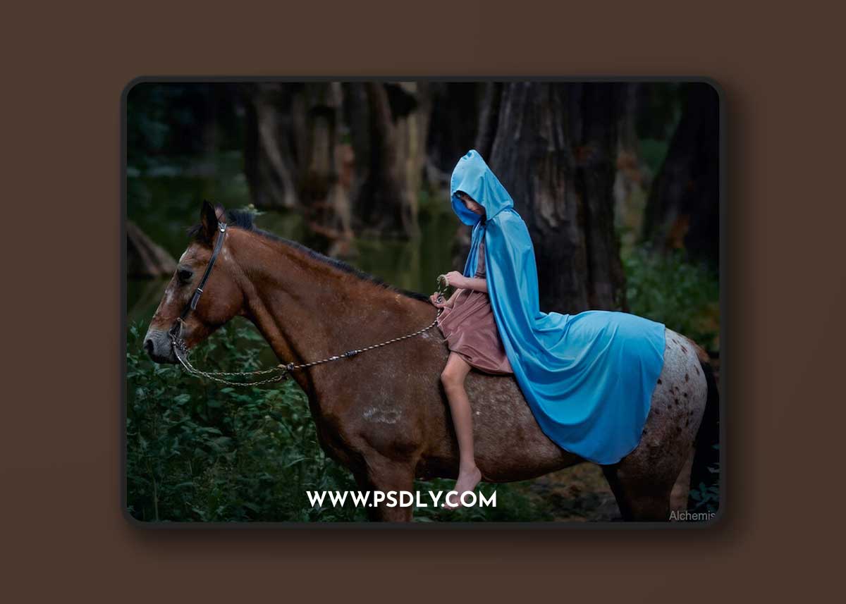 Alchemist 2 – PS Actions