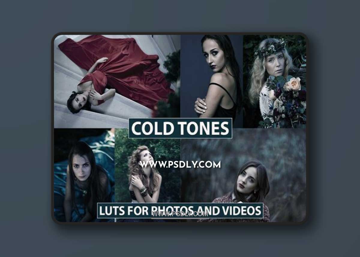 CreativeMarket - Film Cold LUTS for Photos & Videos 7381407