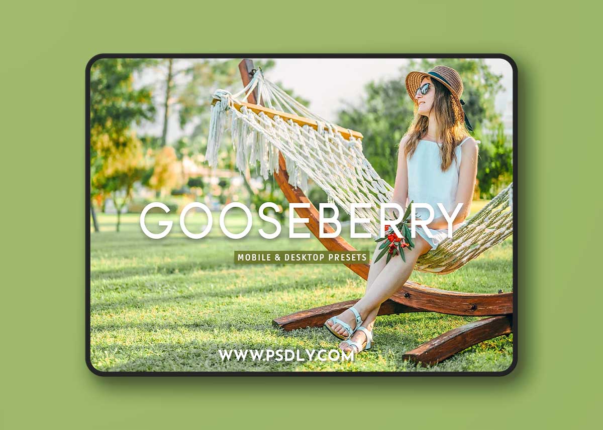 CreativeMarket - Gooseberry Pro Lightroom Presets 7403892
