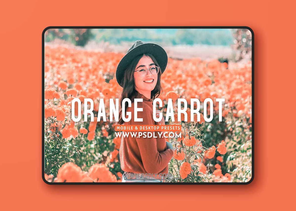 CreativeMarket - Orange Carrot Pro Lightroom Presets 7382491