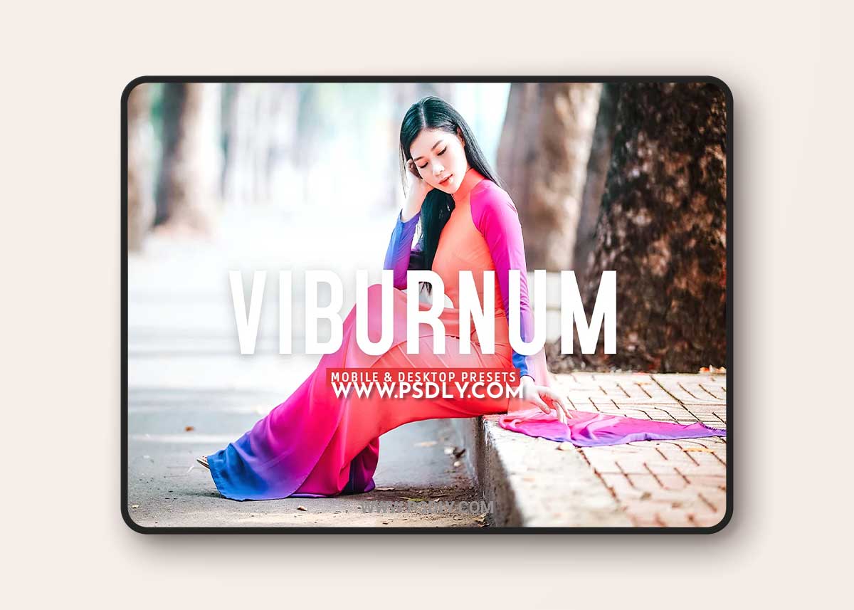 CreativeMarket - Viburnum Pro Lightroom Presets 7387234