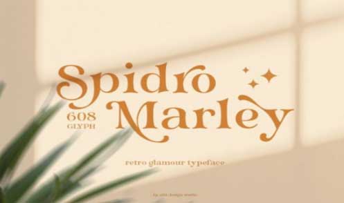 Spidro Marley Font