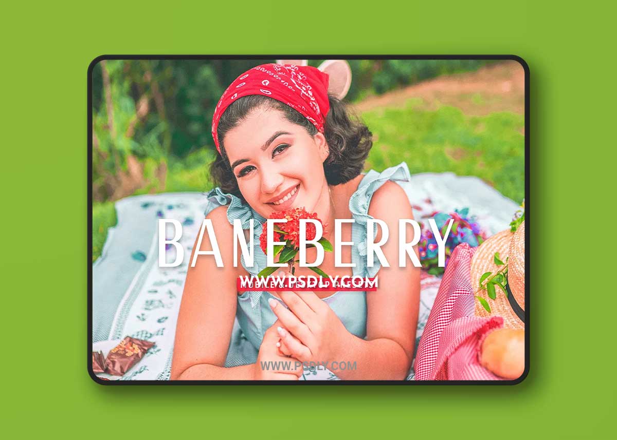 CreativeMarket - Baneberry Pro Lightroom Presets 7469774