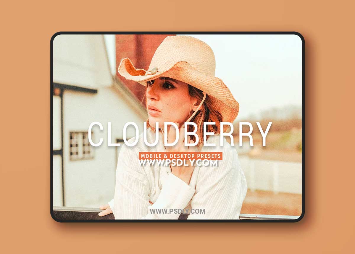 CreativeMarket - Cloudberry Pro Lightroom Presets 7469782